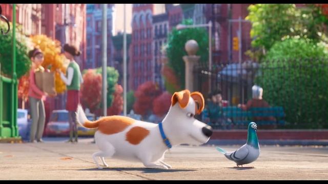 Самый счастливый пес в Нью-Йорке! Тайная жизнь домашних животных 2016 смотреть онлайн