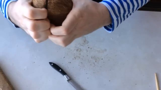 Лучший способ достать мякоть из скорлупы кокоса. Как правильно расколоть кокос. смотреть онлайн
