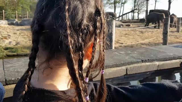 Самый красивый зоопарк Европы - Пайри Дайза. Хэллоуин смотреть онлайн