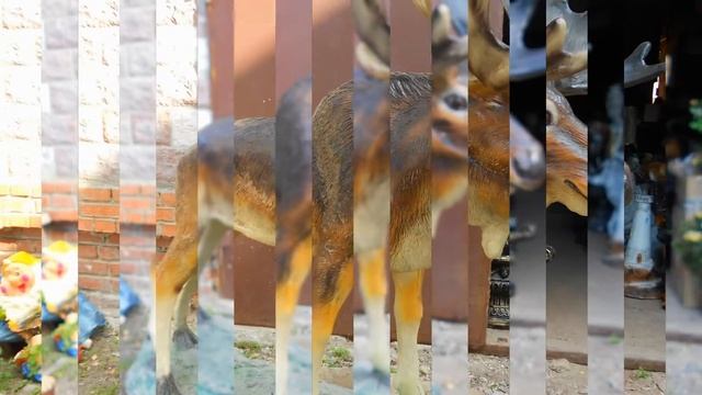 Садово-парковая скульптура Лося фигуры животных купить для интерьера квартиры сада дачи дома смотреть онлайн