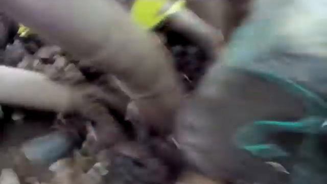 Чёрный инжир. Нашествие корней!) смотреть онлайн