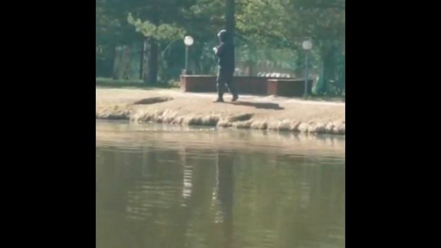 Голицыно Fish смотреть онлайн