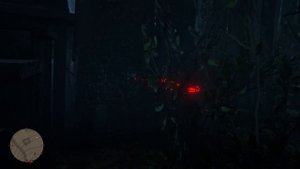 Пентаграмма или логотип Рокстар горит ночами в Бутчер-Крик | Red Dead Redemption 2