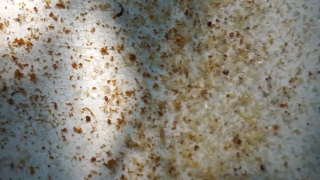 ПИХТОВОЕ МАСЛО, РЕЗУЛЬТАТ ОБРАБОТКИ смотреть онлайн