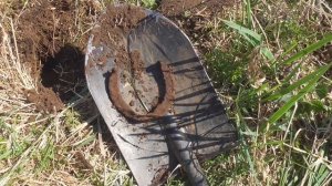 Охота за сокровищами. Коп монет и артефактов. Нашел три старинных замка.