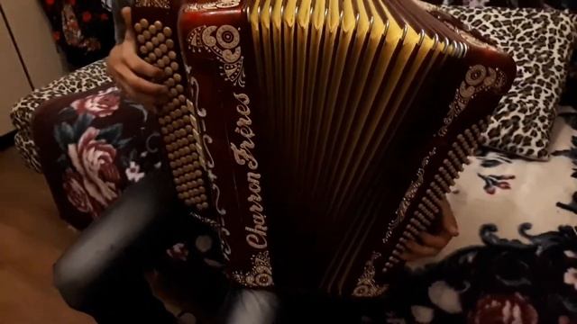 Уникальный Итальянский Баян 2!! Продажа смотреть онлайн