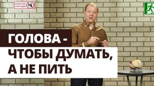 Я смогу бросить пить! Как алкоголь влияет на мозг? | Выход есть