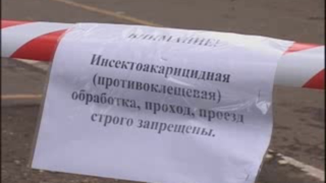 тропа здоровья