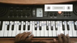 SENORITA  SONG  ORGAN PLAYING  CASIO SA 76