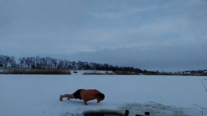 Водные процедуры в зимнее время.