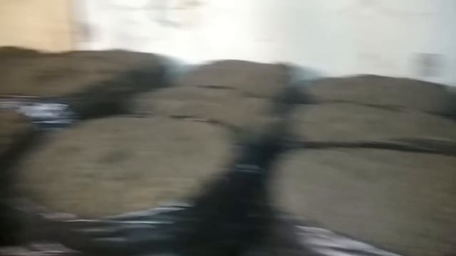 ПОКРОВКА! ШАМПИНЬОНЫ ! Покровный слой для Шампиньонов! смотреть онлайн