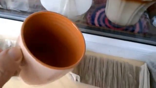 Как вырастить ЛУК зимой? / ОГОРОД НА ПОДОКОННИКЕ смотреть онлайн