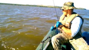 Ловля сома на донную снасть