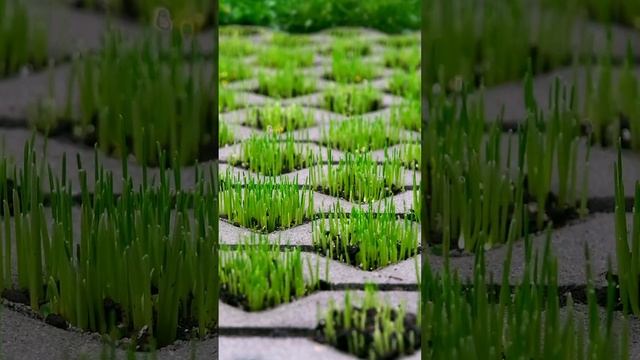 Елемент облаштування ЕКО МІНІ / OZON смотреть онлайн