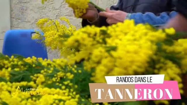 Fête du Mimosa de Mandelieu - du 19 au 26 Février 2020 смотреть онлайн