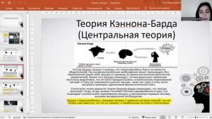 Периферическая и центральная теории эмоций. Теория С. Шэхтера.