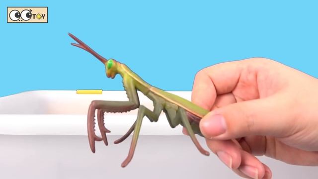 [EN] My whales are growing, sea animals animation, whales and insects names for childrenㅣCoCosToy смотреть онлайн