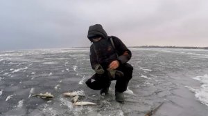 ОПУСТИЛ ЭТОТ РАТЛИН В ЛУНКУ И ПОНЕСЛАСЬ... ЛОВЛЯ СУДАКА ЗИМОЙ НА БАЛАНСИР. Зимняя рыбалка 2020