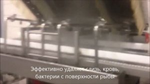 Carnitech Аппарат для удаления слизи с рыбы
