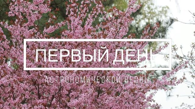 ? ЧТО ТАКОЕ ВЕСЕННЕЕ РАВНОДЕНСТВИЕ ?
