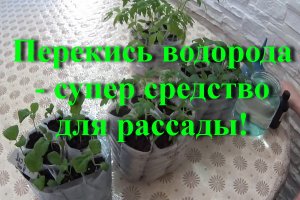 Перекись водорода