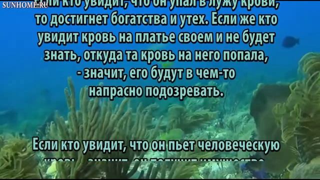К чему снится Кровь сонник, толкование сна