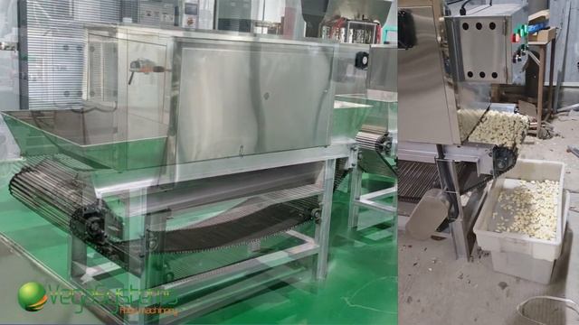 Машина для очистки чеснока (зубчиков) Vega Garlic Peeler 300 смотреть онлайн