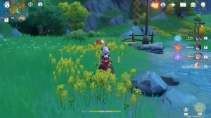 Genshin Impact - #224 Где найти "Шелковица".