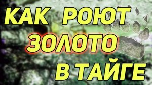 ✔️ КАК РОЮТ ЗОЛОТО В ТАЙГЕ. О ВАРВАРСКОМ ПРОМЫСЛЕ ЗОЛОТА