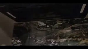 Встраиваемая вытяжка Weissgauff Aura 850