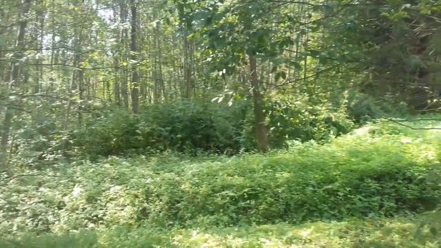 FILL Красоты Щелыково#16 смотреть онлайн