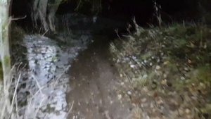Наши будни-18. Ночные покатушки на питбайках в лесу.