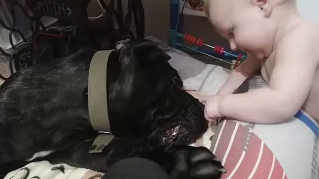 Поздравляем всех со Старым Новым годом! смотреть онлайн