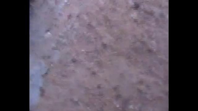 Зона часть 2