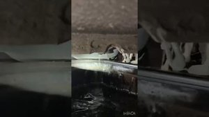 Opel insignia full service with sump nut surprise