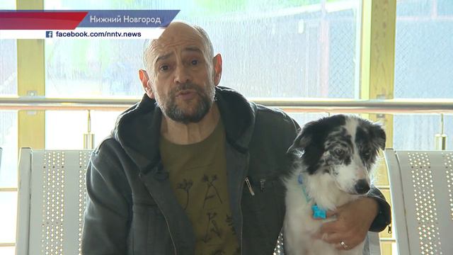 Владимир Гройсман - о важности поправок к Конситуции смотреть онлайн