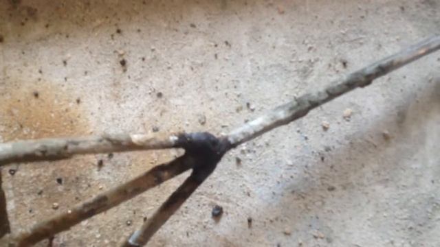 Востанавливаем венчик для перемешивания растворов смотреть онлайн