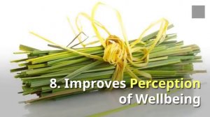 13 Amazing Benefits of Lemongrass Essential Oil