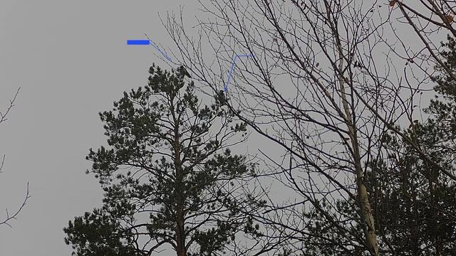 Охота на ворон 2022 отрезок из ролика ) смотреть онлайн