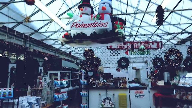ПИСЬМО САНТЕ 🎄 ОЗВУЧКА МАЛЫША I УКРАШАЕМ ДОМ К РОЖДЕСТВУ *жизнь в Америке* Julia Hunt