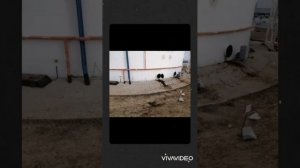 Зачистка резервуара РВСП-10000м3