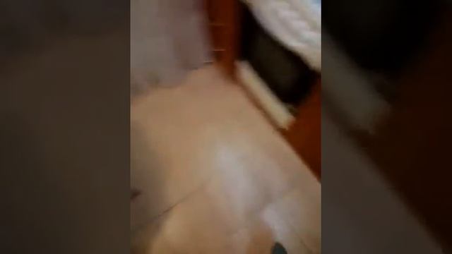Блинный аппарат Гриль-мастер, блинница электрическая Ф2БкрЭ.