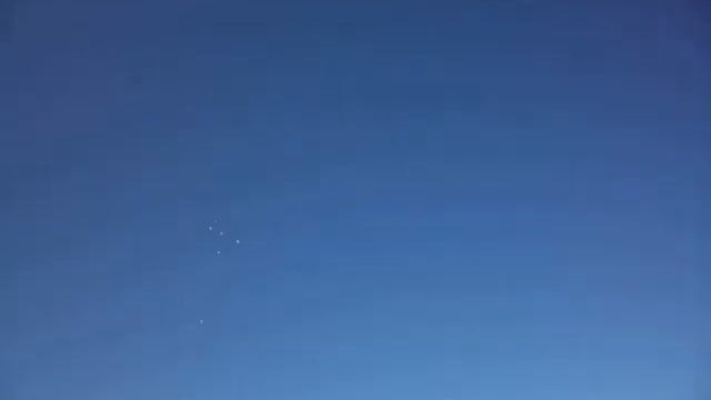 Тренировка почтовых голубей смотреть онлайн