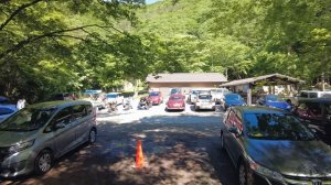 В Японии нечего есть Что едят японцы на природе   Жизнь в Японии