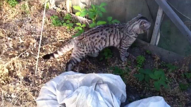 Run to you смотреть онлайн