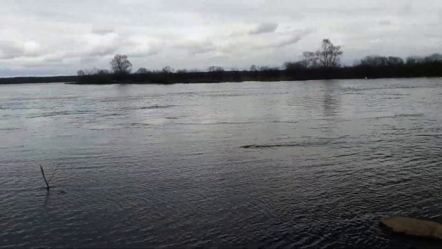 Весенний разлив реки и ловля уклейки смотреть онлайн