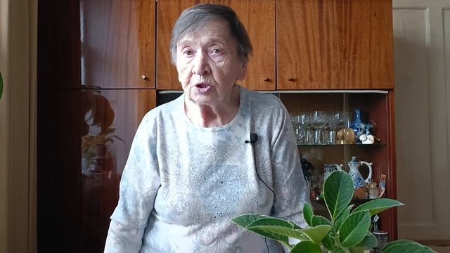 Глоксиния. Простые секреты выращивания и цветения. смотреть онлайн