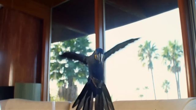 A$AP Rocky, Iggy Pop and Tyler, The Creator in the New Gucci Tailoring Campaign смотреть онлайн