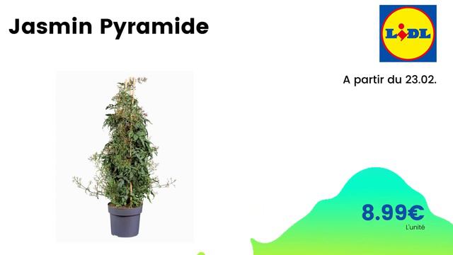 💥 ARRIVAGE LIDL💥 PLANTES ET FLEURS - 21 février 2022 - 12 OFFRES du CATALOGUE - FRANCE смотреть онлайн