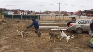 Ремонт яхты